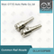DLLA133P888 Denso Common Rail Nozzle สำหรับหัวฉีด 095000-6460 / RE529150