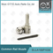 DLLA155P1030 Denso Common Rail Nozzle สำหรับหัวฉีด 095000-956X