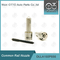 DLLA155P856 Denso Common Rail Nozzle สำหรับหัวฉีด 095000-660 # 23670-E0040