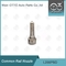 L286PBD Delphi Common Rail Nozzle สําหรับเครื่องฉีด EJBR05601D