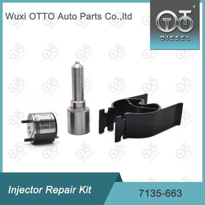 7135-663 ชุดซ่อมเครื่องฉีด Delphi ชุดฉีด-วาล์ว ชุดฉีด-CVA