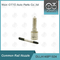 DLLA148P1524 Bosch Common Rail Nozzle สำหรับหัวฉีด 0 445120217