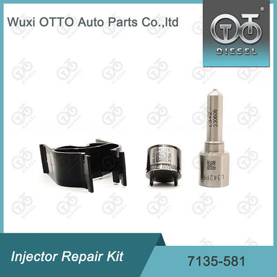 7135-581 ชุดซ่อมเครื่องฉีดสําหรับ R00101D PSA FORD DW10C