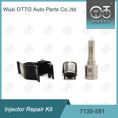 ชุดปรับปรุงเครื่องฉีด Delphi Nozzle-CVA 7135-581 สําหรับ R00101D PSA / FORD DW10C ชุดปรับปรุงเครื่องฉีด