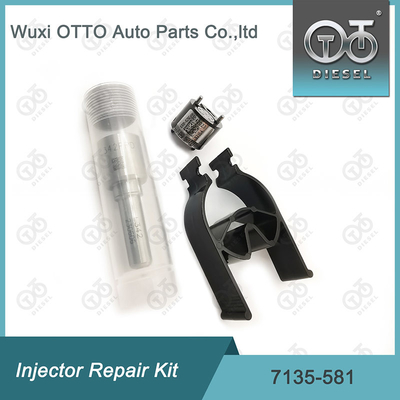 ชุดปรับปรุงเครื่องฉีด Delphi Nozzle-CVA 7135-581 สําหรับ R00101D PSA / FORD DW10C ชุดปรับปรุงเครื่องฉีด