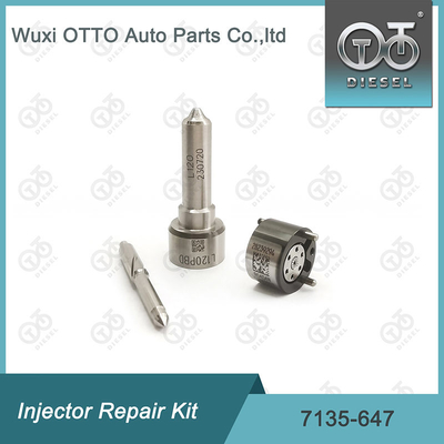 กล่องซ่อมเครื่องฉีด Delphi 7135-647 สําหรับ 28232248 ด้วย L120PBD Nozzle