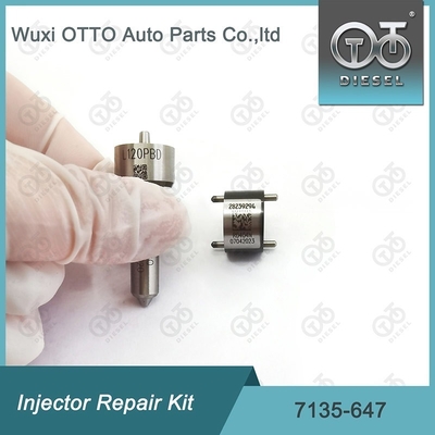 กล่องซ่อมเครื่องฉีด Delphi 7135-647 สําหรับ 28232248 ด้วย L120PBD Nozzle