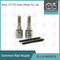 DLLA145P875 Denso Common Rail Nozzle สำหรับหัวฉีด 1465A054/1465A307 095000-576 # / 811 # เป็นต้น