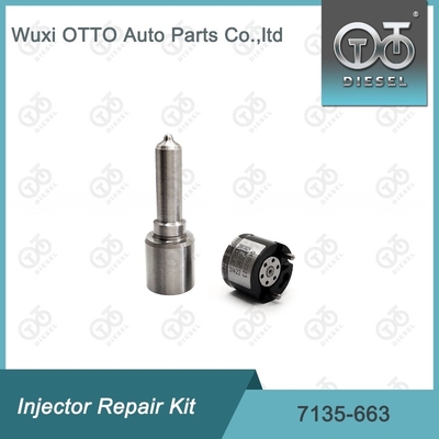 7135-663 ชุดซ่อมเครื่องฉีด Delphi ชุดฉีด-วาล์ว ชุดฉีด-CVA
