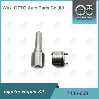 7135-663 ชุดซ่อมเครื่องฉีด Delphi ชุดฉีด-วาล์ว ชุดฉีด-CVA