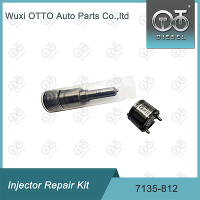 7135-812 ชุดซ่อมเครื่องฉีด Delphi ชุดระบายน้ํา