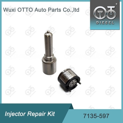 7135-597 ชุดซ่อมเครื่องฉีด Delphi ชุดฉีด-CVA ชุดฉีด-วาล์ว